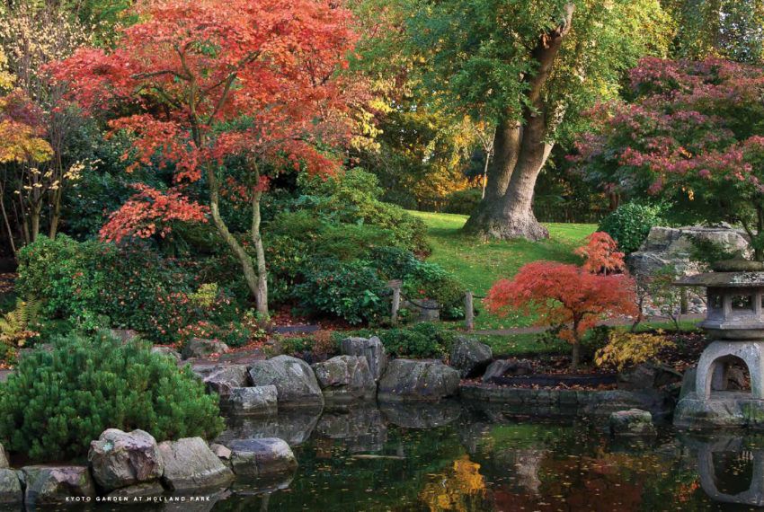 garden dim ok